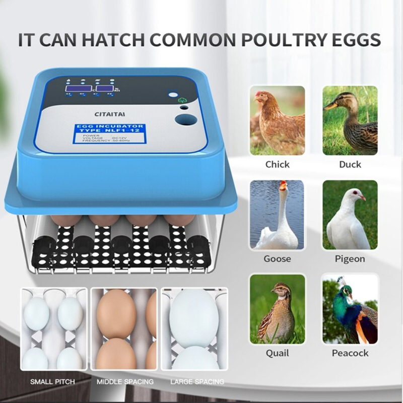 12 Egg Incubator Fully Automatic (New) – Sri Lanka Mobile Phone Price Index